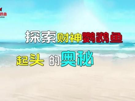 財神鸚鵡起頭秘訣 財神鸚鵡起頭秘訣 觀賞魚百科 第3張