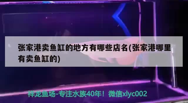 張家港賣魚缸的地方有哪些店名(張家港哪里有賣魚缸的)