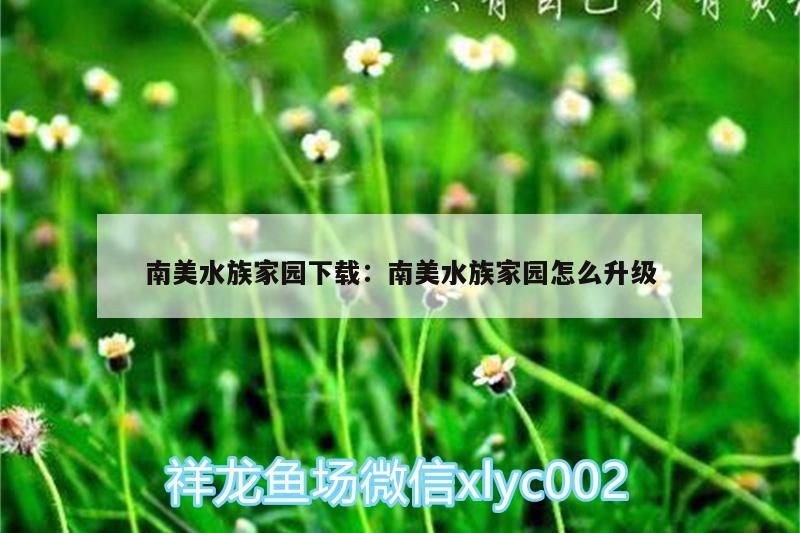 <strong><mark>南美水族</mark></strong>家園下載:<strong><mark>南美水族</mark></strong>家園怎么升級