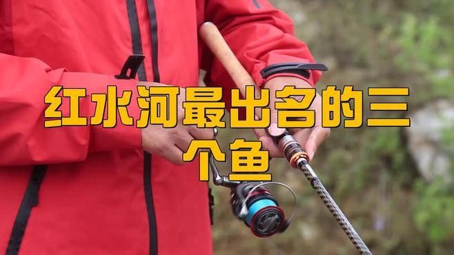 紅水河魚品種 紅水河魚品種 觀賞魚百科 第2張