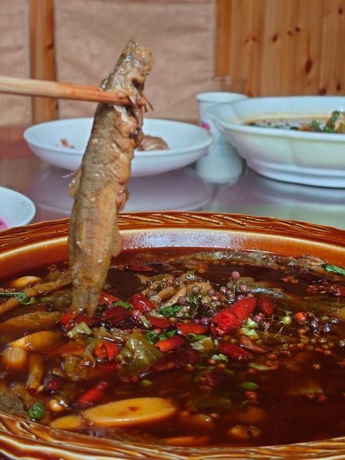 金堂哪家魚好吃 金堂哪家魚好吃 觀賞魚百科 第3張