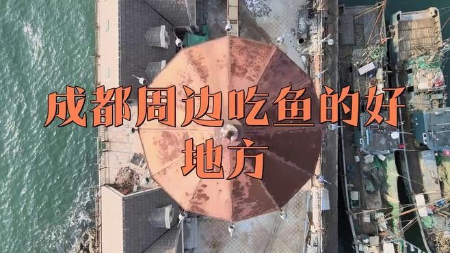 金堂哪家魚好吃 金堂哪家魚好吃 觀賞魚百科 第9張