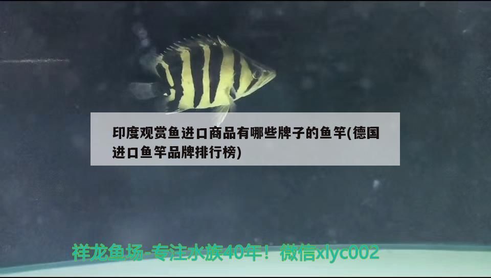 關于魚缸換水的個人見解 關于魚缸換水的個人見解 觀賞魚百科 第3張