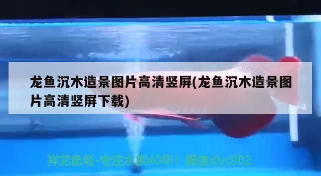 龍魚沉木造景圖片高清豎屏(龍魚沉木造景圖片高清豎屏下載) 龍魚沉木造景圖片高清豎屏(龍魚沉木造景圖片高清豎屏下載) 觀賞魚百科