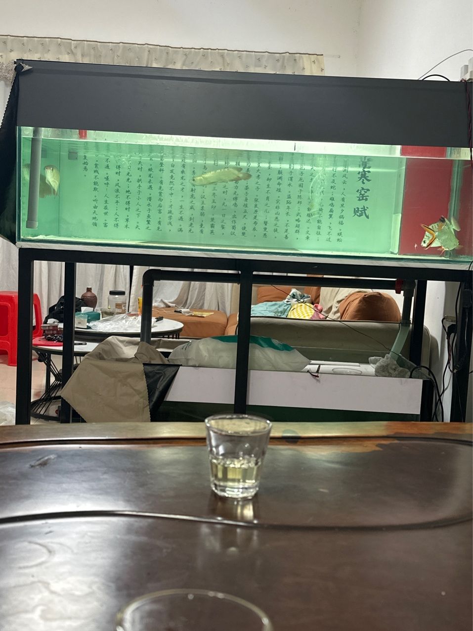 手戳一米五乘七十魚缸，