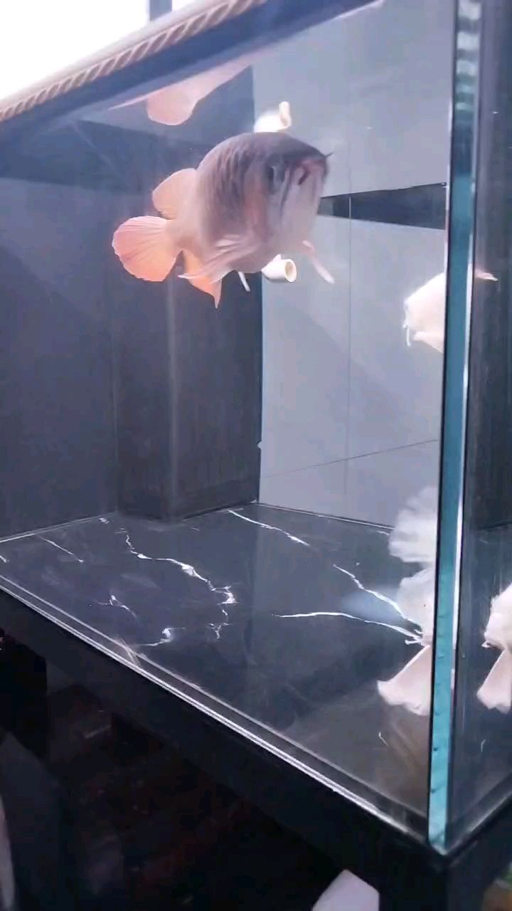 冬至平平安安