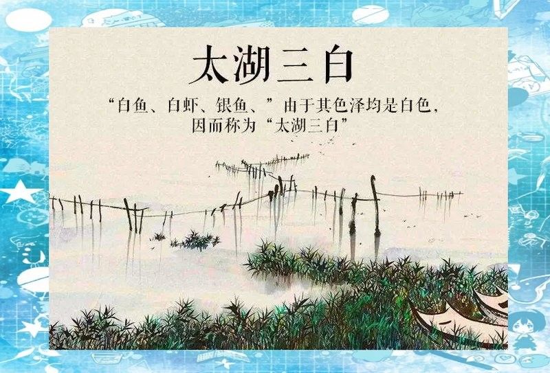 太湖白水魚 太湖白水魚 觀賞魚百科 第2張