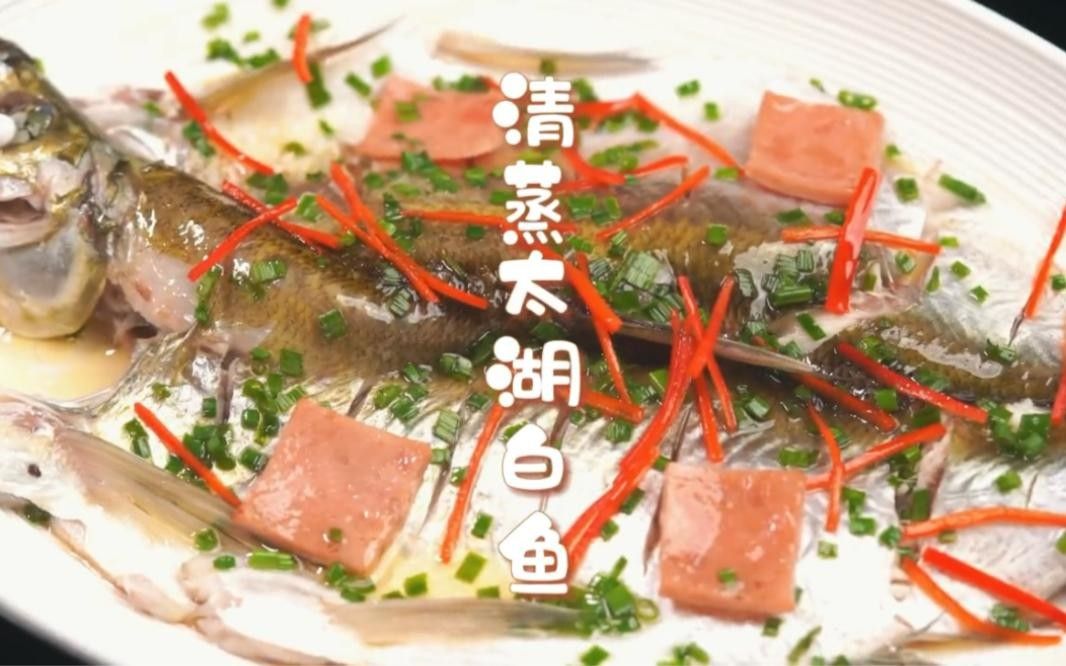 太湖白水魚 太湖白水魚 觀賞魚百科 第3張