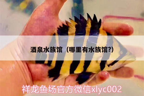 酒泉水族館（哪里有水族館?）