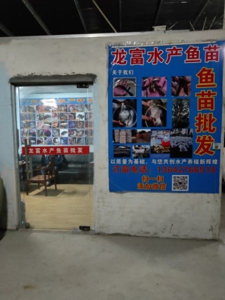 花山龍魚