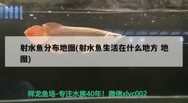 射水魚分布地圖(射水魚生活在什么地方地圖)