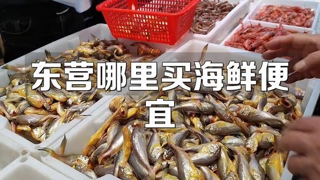 紅龍魚什么季節發色最好：-紅龍魚在哪個季節發色效果最好