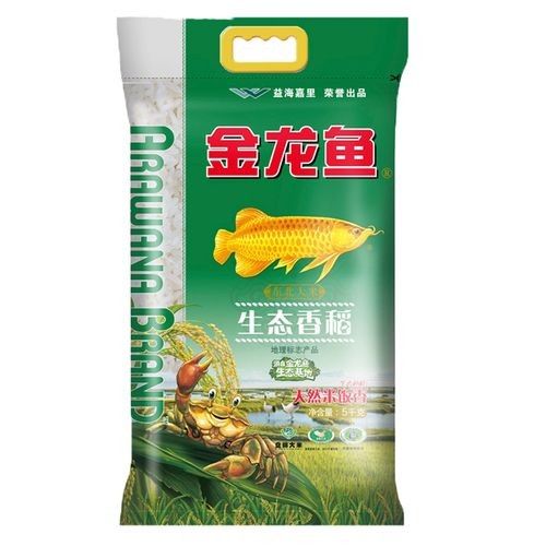 鄖陽金龍魚 鄖陽金龍魚 觀賞魚百科 第8張