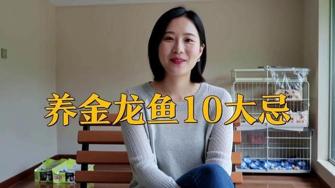 武強(qiáng)金龍魚最忌三種食物