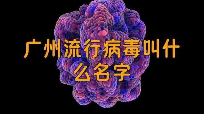 廣州流行病 廣州流行病 觀賞魚百科 第1張