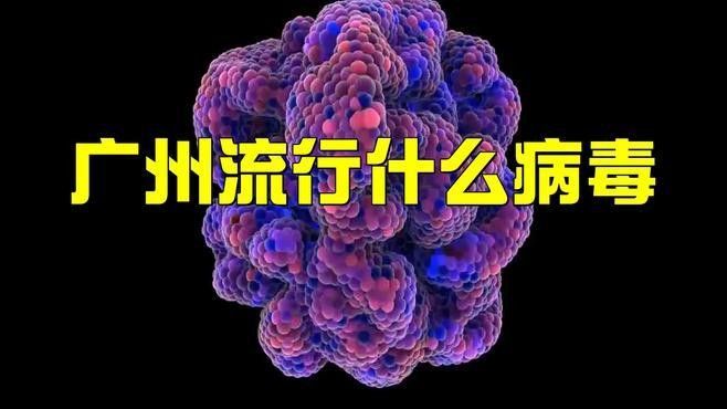 廣州流行病 廣州流行病 觀賞魚百科 第2張