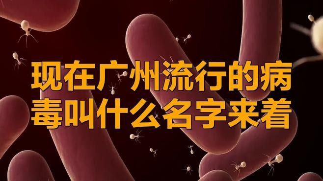 廣州流行病 廣州流行病 觀賞魚百科 第4張