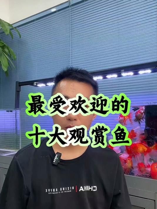 觀賞魚介紹