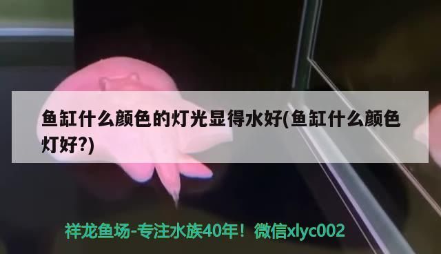 魚缸什么顏色的燈光顯得水好(魚缸什么顏色燈好?) 魚缸什么顏色的燈光顯得水好(魚缸什么顏色燈好?) 觀賞魚百科