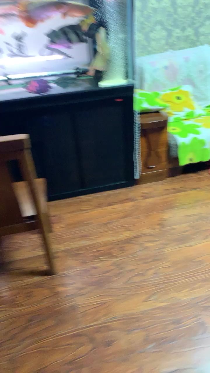 混養第27天