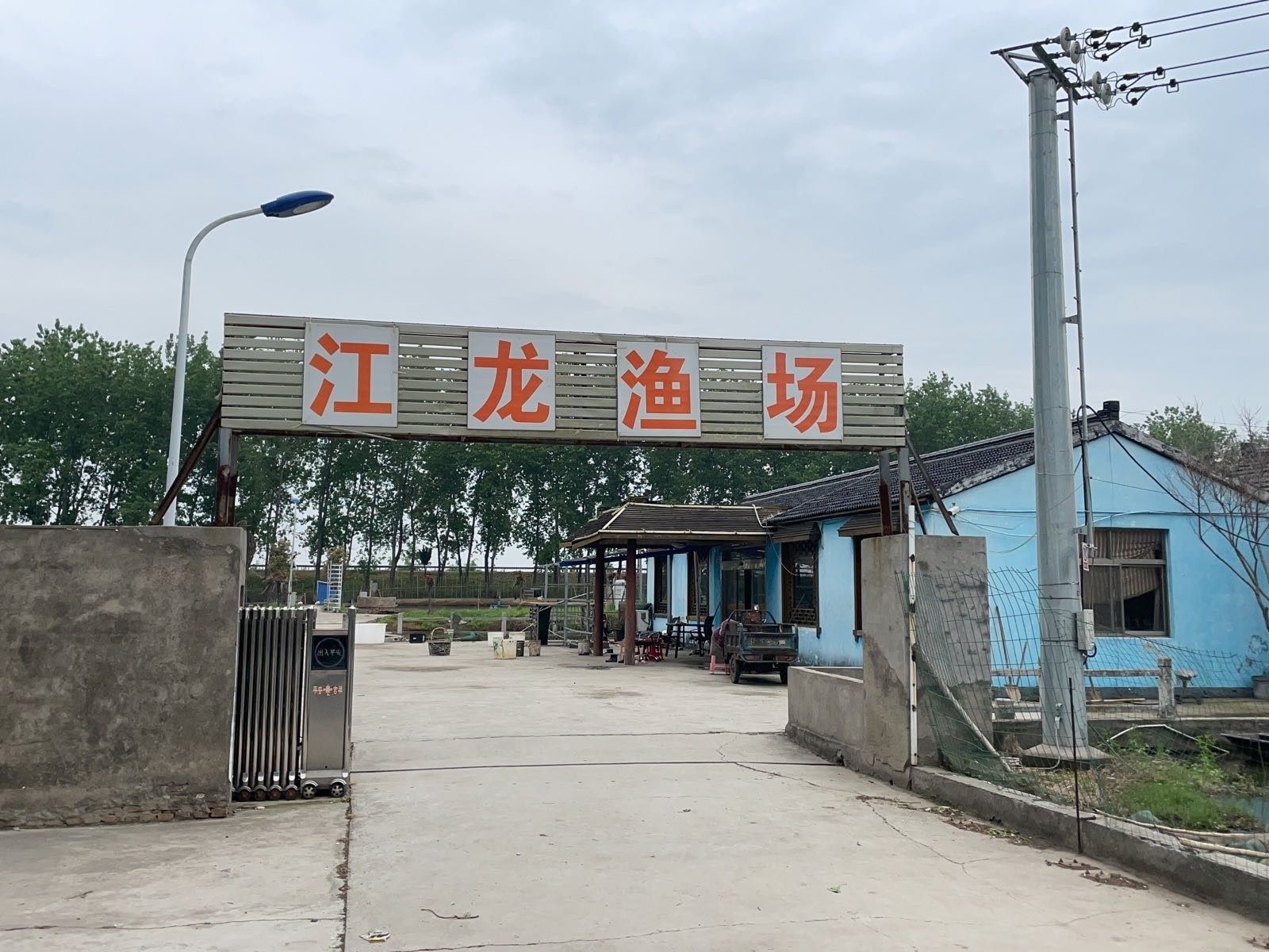 鎮江龍魚