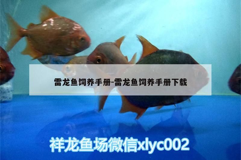 雷龍魚飼養手冊:雷龍魚飼養手冊下載