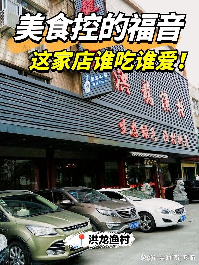 揚州洪龍漁村 揚州洪龍漁村 觀賞魚百科 第8張