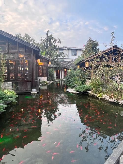 詳細閱讀:揚州洪龍漁村 揚州洪龍漁村