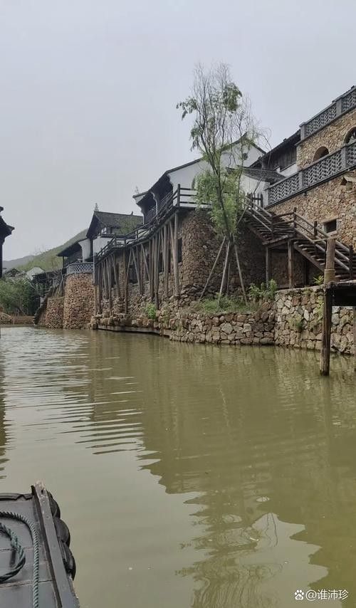 揚州洪龍漁村 揚州洪龍漁村 觀賞魚百科 第6張