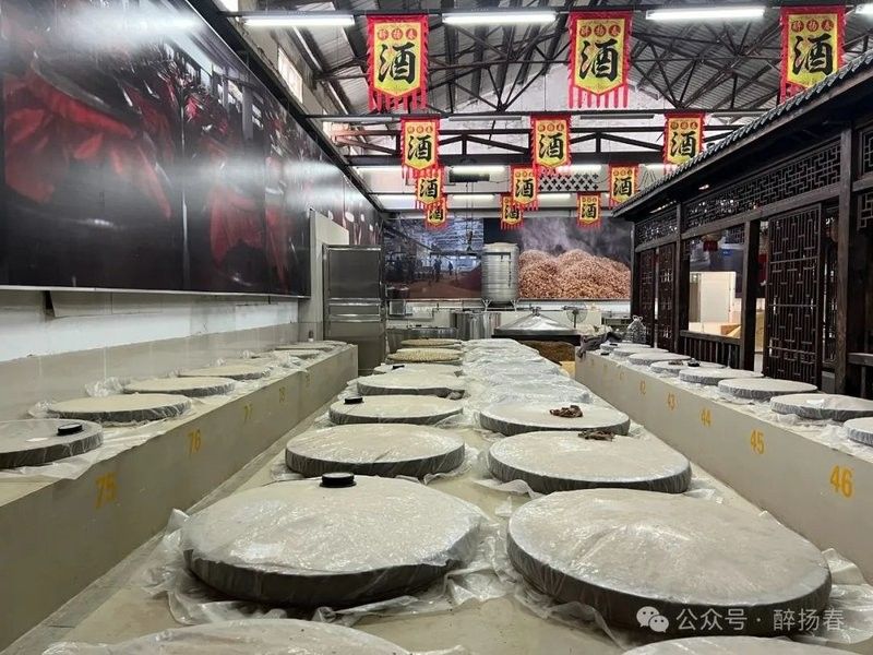 揚州洪龍漁村 揚州洪龍漁村 觀賞魚百科 第11張