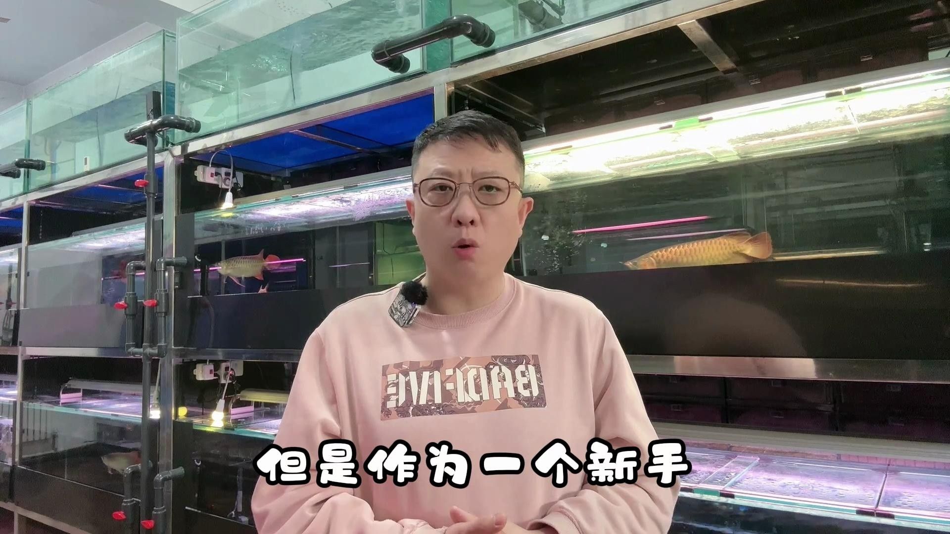養(yǎng)龍魚(yú)的忌諱 養(yǎng)龍魚(yú)的忌諱 觀賞魚(yú)百科 第3張