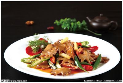 雷龍魚趴缸不吃食，如何判斷雷龍魚趴缸不吃食的具體原因？ 雷龍魚趴缸不吃食，如何判斷雷龍魚趴缸不吃食的具體原因？ 觀賞魚百科