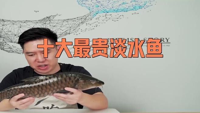 最貴淡水魚排行榜前十名