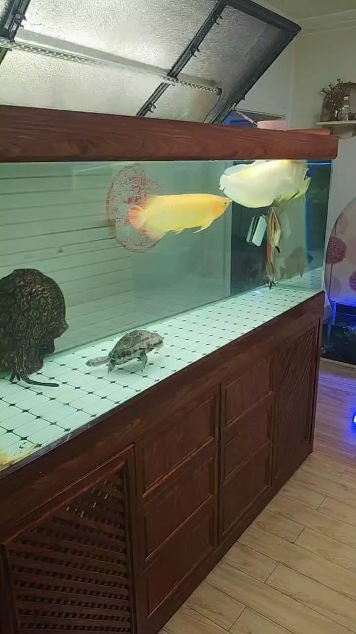 ？？？