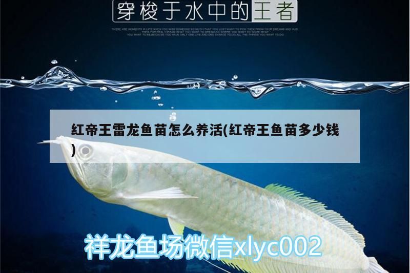 濾芯過濾器生產廠家盤點，水產過濾設備生產廠家有哪些水產過濾設備廠家有哪些 濾芯過濾器生產廠家盤點，水產過濾設備生產廠家有哪些水產過濾設備廠家有哪些 觀賞魚百科 第1張