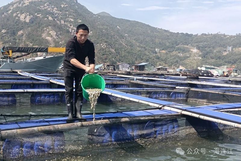 閩清龍魚(yú)