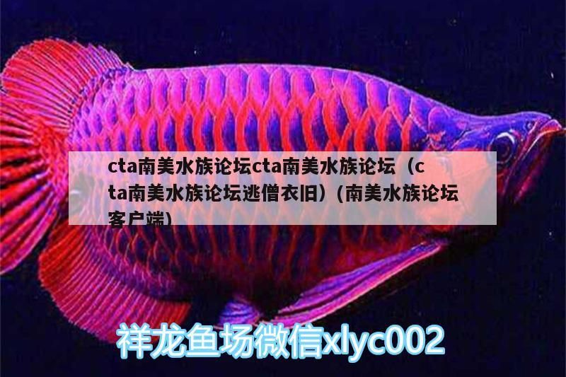 cta南美水族論壇cta南美水族論壇（cta南美水族論壇逃僧衣舊）(南美水族論壇客戶端) cta南美水族論壇cta南美水族論壇（cta南美水族論壇逃僧衣舊）(南美水族論壇客戶端) 觀賞魚百科