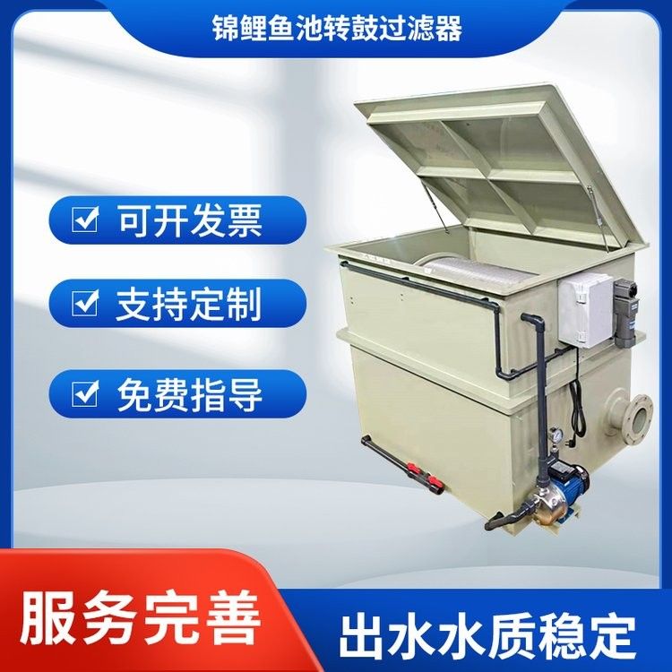頂級白寫錦鯉 頂級白寫錦鯉 觀賞魚百科 第11張