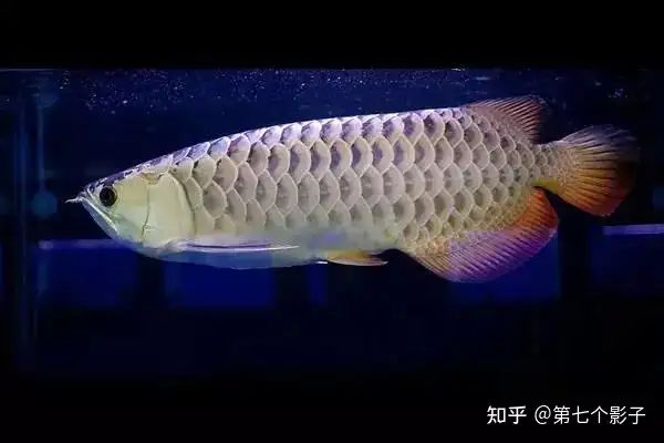 大連魚缸招待所，大連三天兩夜旅游攻略