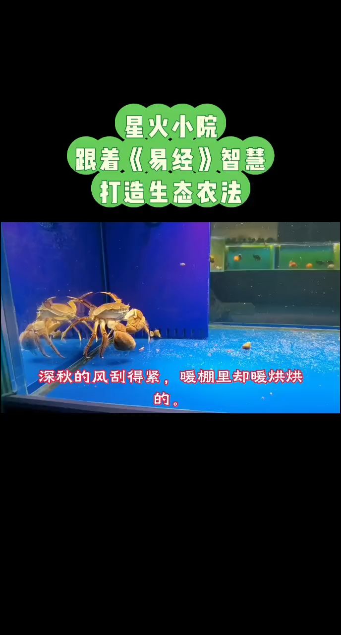 打造零換水零排放零污染生態循環系統 打造零換水零排放零污染生態循環系統 龍魚論壇