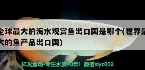 全球最大的海水觀賞魚出口國(guó)是哪個(gè)(世界最大的魚產(chǎn)品出口國(guó))