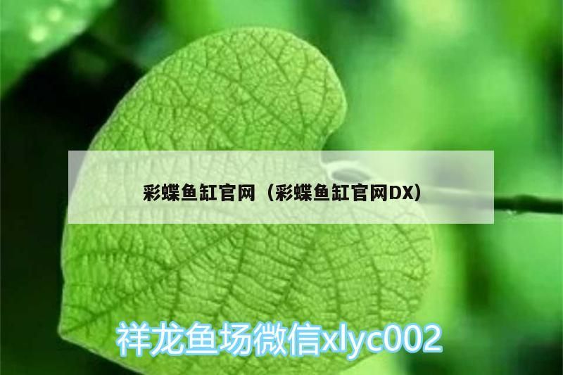 彩蝶魚缸官網（彩蝶魚缸官網DX）