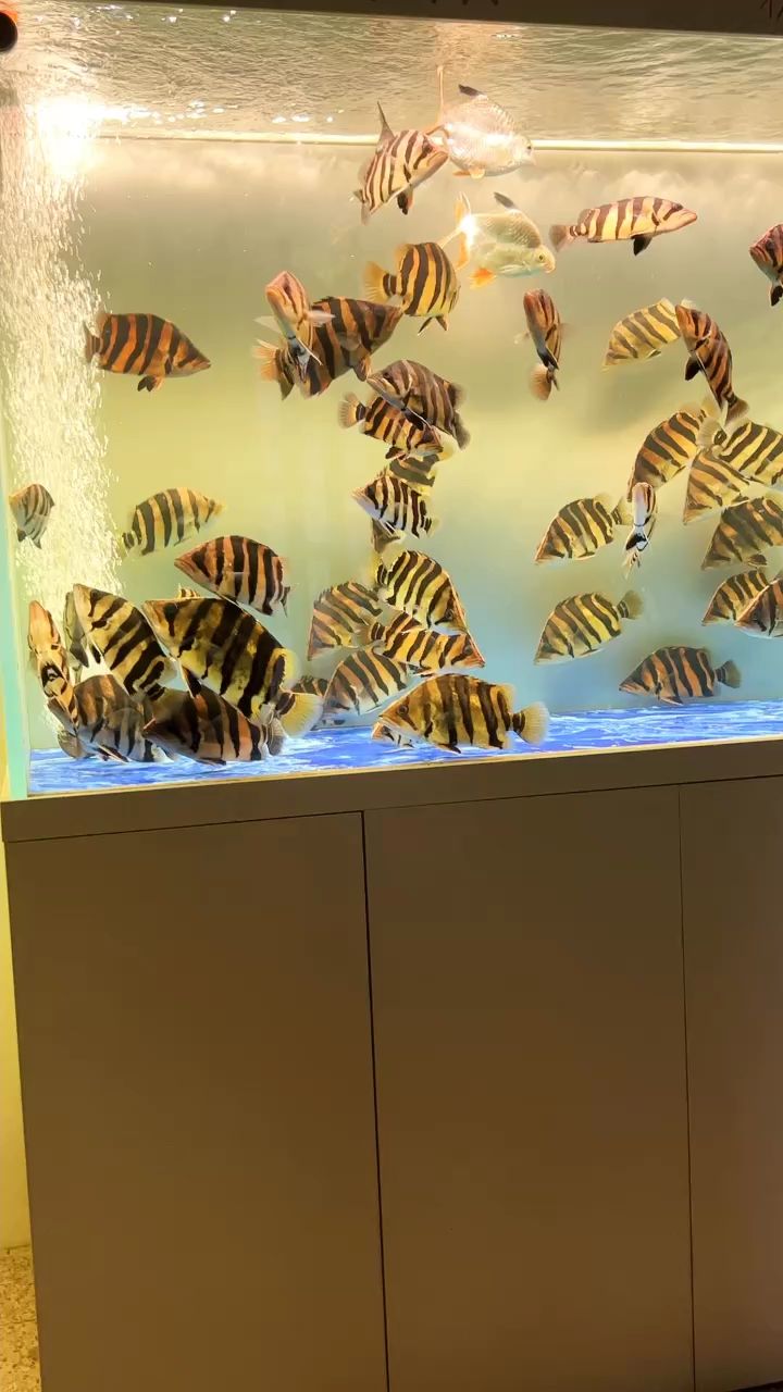 不懂就問！