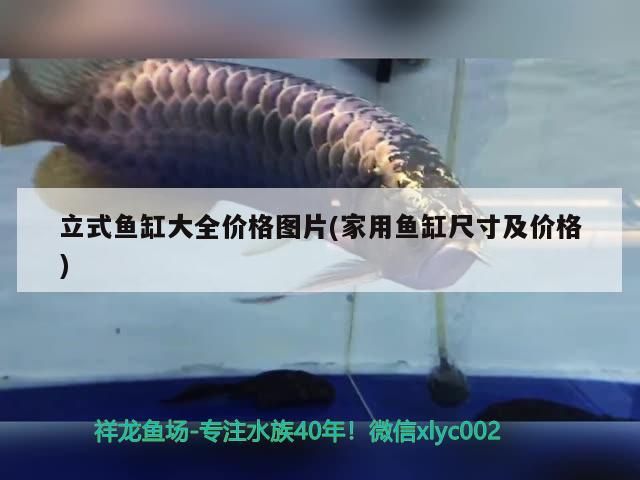 立式魚(yú)缸大全價(jià)格圖片(家用魚(yú)缸尺寸及價(jià)格)