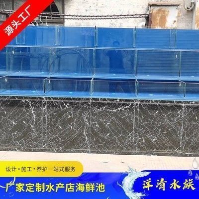 桂林龍魚水族店：廣西桂林龍魚水族店 桂林龍魚水族店：廣西桂林龍魚水族店 觀賞魚百科 第2張