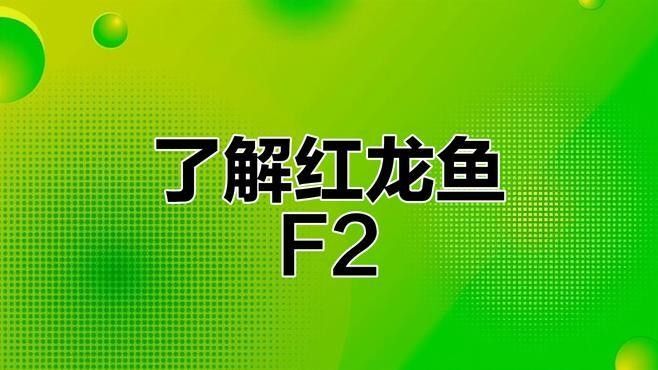 公安紅龍魚 公安紅龍魚 觀賞魚百科 第1張