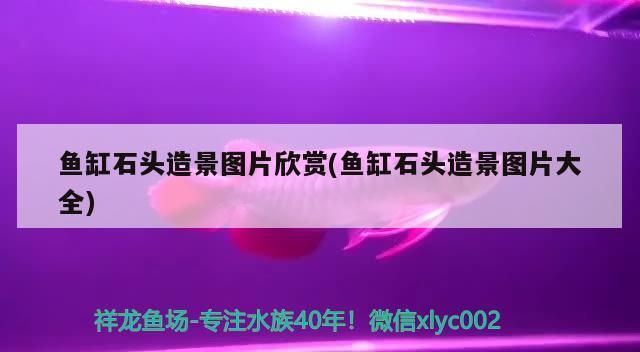 魚缸水泵是不是有點(diǎn)大啊
