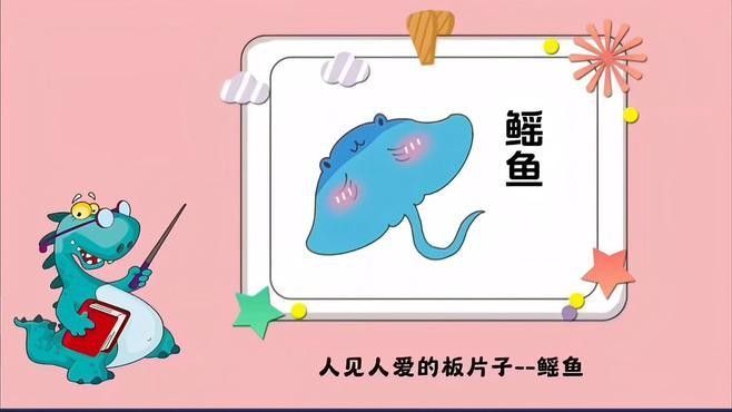 鰩魚圖片