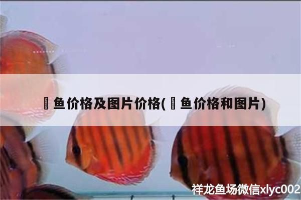 鸚鵡魚和銀龍魚混養(yǎng)怎樣喂食 魟魚價(jià)格及圖片價(jià)格(鳡魚價(jià)格和圖片) 觀賞魚百科 魟魚價(jià)格及圖片價(jià)格(鳡魚價(jià)格和圖片) 魟魚價(jià)格及圖片價(jià)格(鳡魚價(jià)格和圖片) 觀賞魚百科