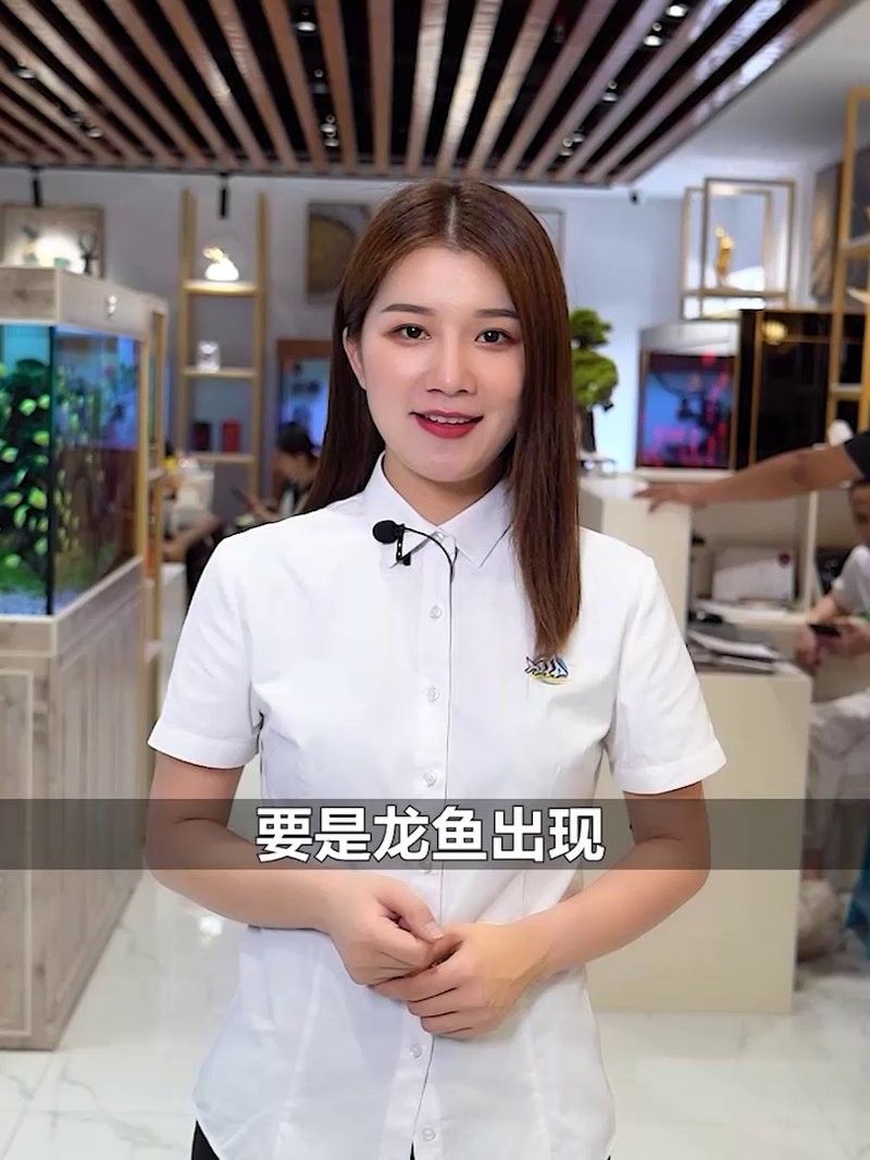 研究龍魚硝化菌澄清劑